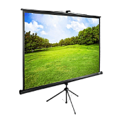 Экран Cactus 150x200см TriExpert CS-PSTE-200x150-BK 4:3 напольный рулонный черный 