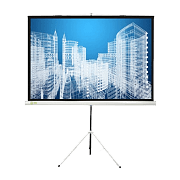 Экран Cactus 104.4x186см Triscreen CS-PST-104x186 16:9 напольный рулонный черный